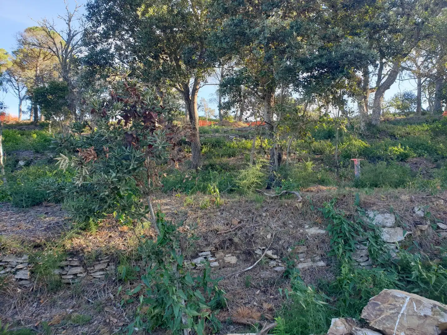 Terrenos y solares en venta en Begur pueblo, imagen 6