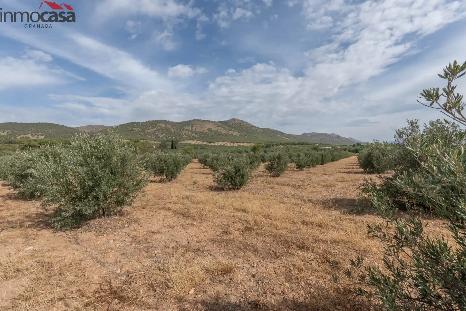 Casa o chalet en venta en Huéscar