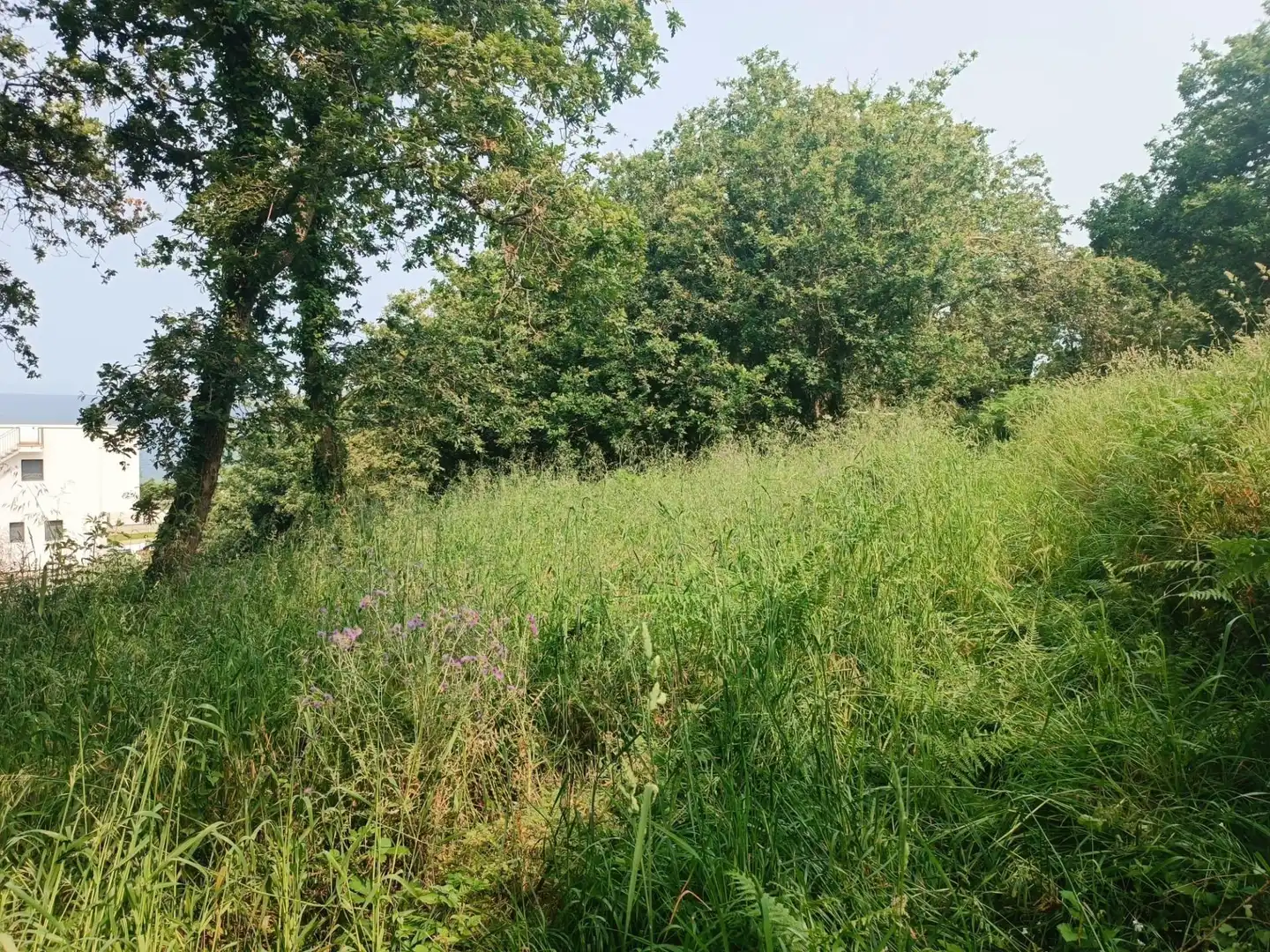 Rural land for sale in Camino SAN XURXO-SAIANS 20, imagen 20