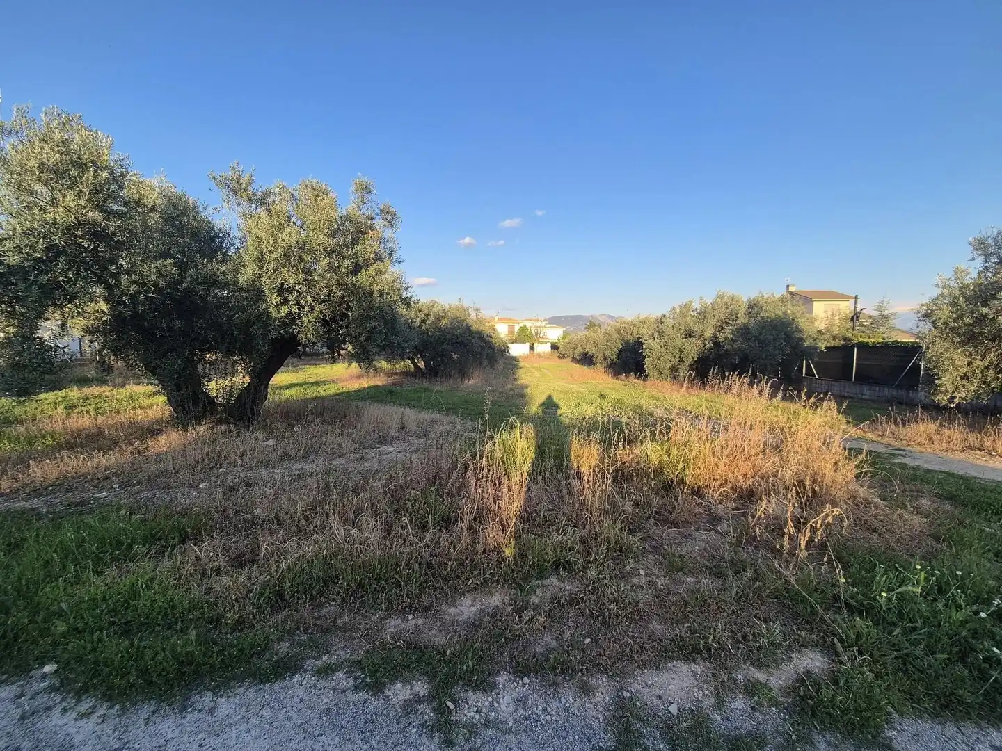 Terrain résidentiel à vendre à Pantano de Cubillas, imagen 7