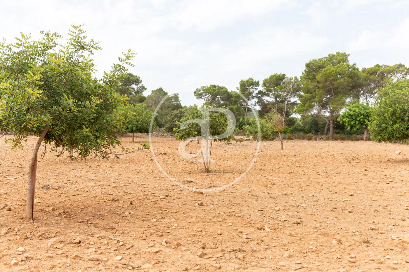 Terreno residenziale in vendita a Cami de.'s Presos, imagen 17