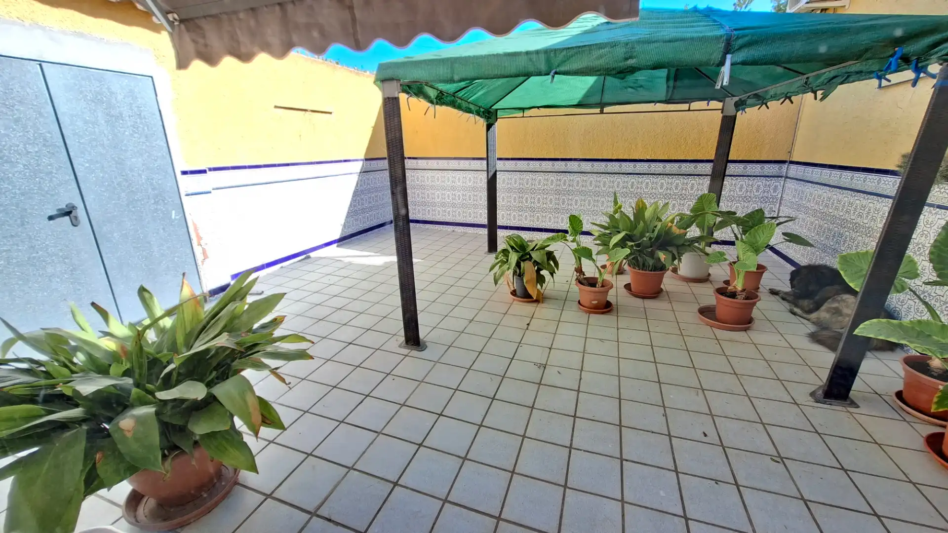 Houses for sale in Camí del Carreret, Los Girasoles