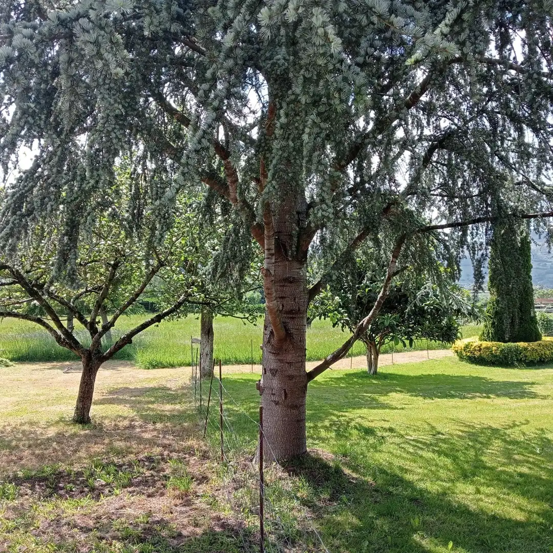 Haus mit Garten zum Verkauf in ARENAS-LA HERRAN, imagen 27