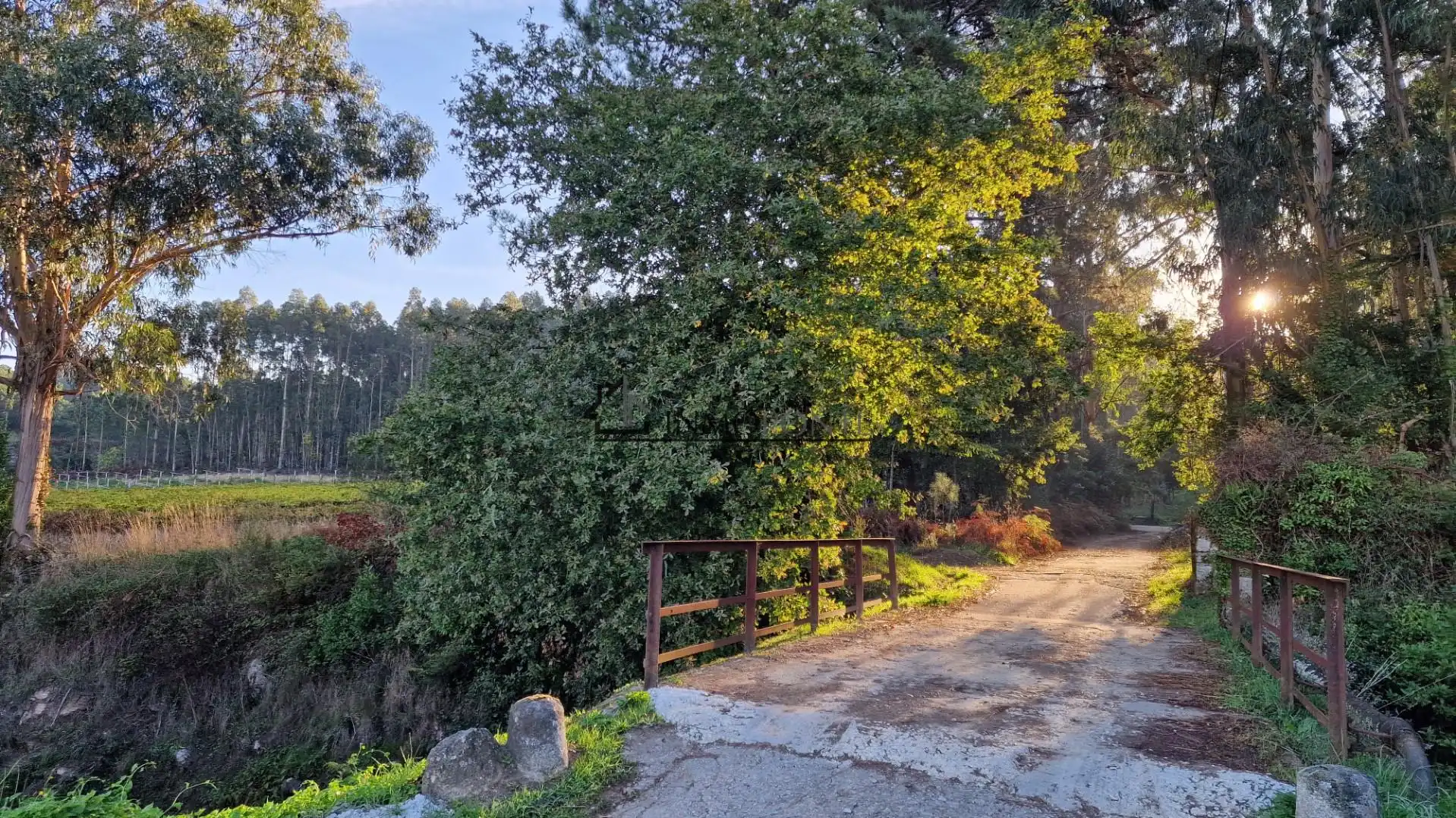 Exterior view of Houses for sale in Vilagarcía de Arousa  with Private garden