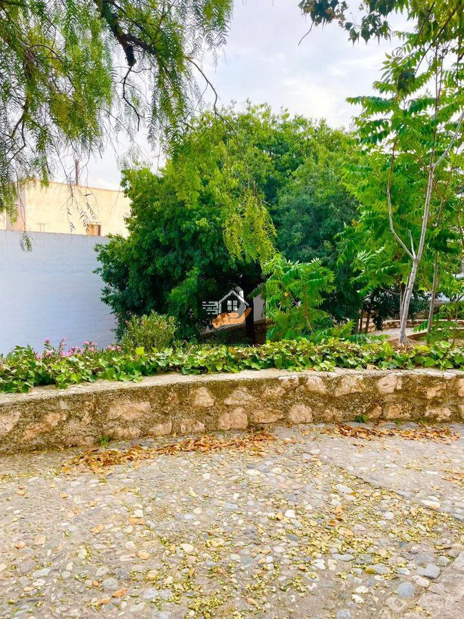 Vista exterior de Casa adosada en venda en Vélez-Rubio amb Terrassa