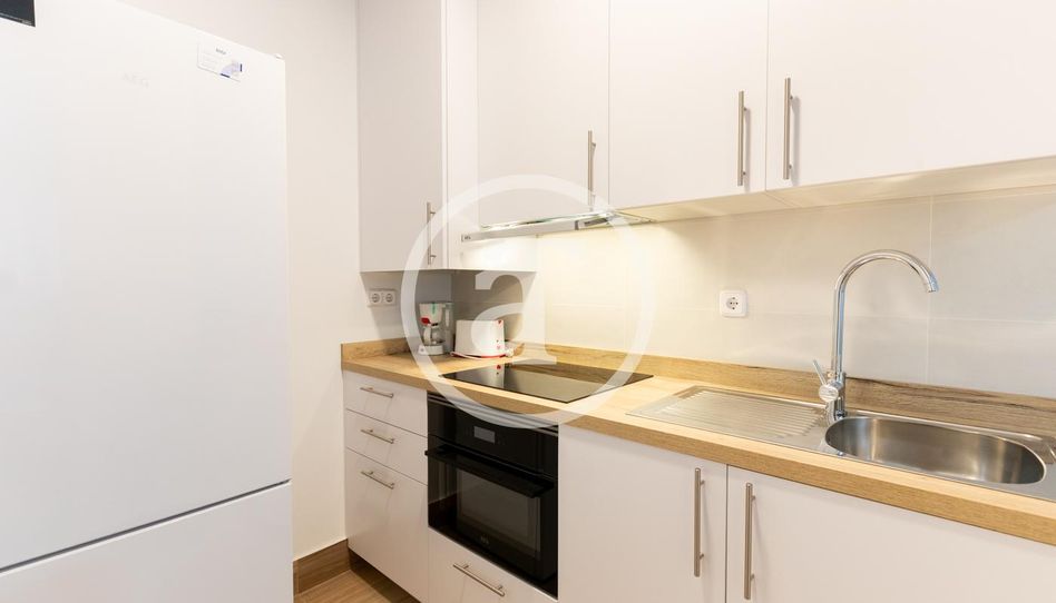 Estudio de alquiler en Calle de San Manuel, 3, Aluche - Imagen 3