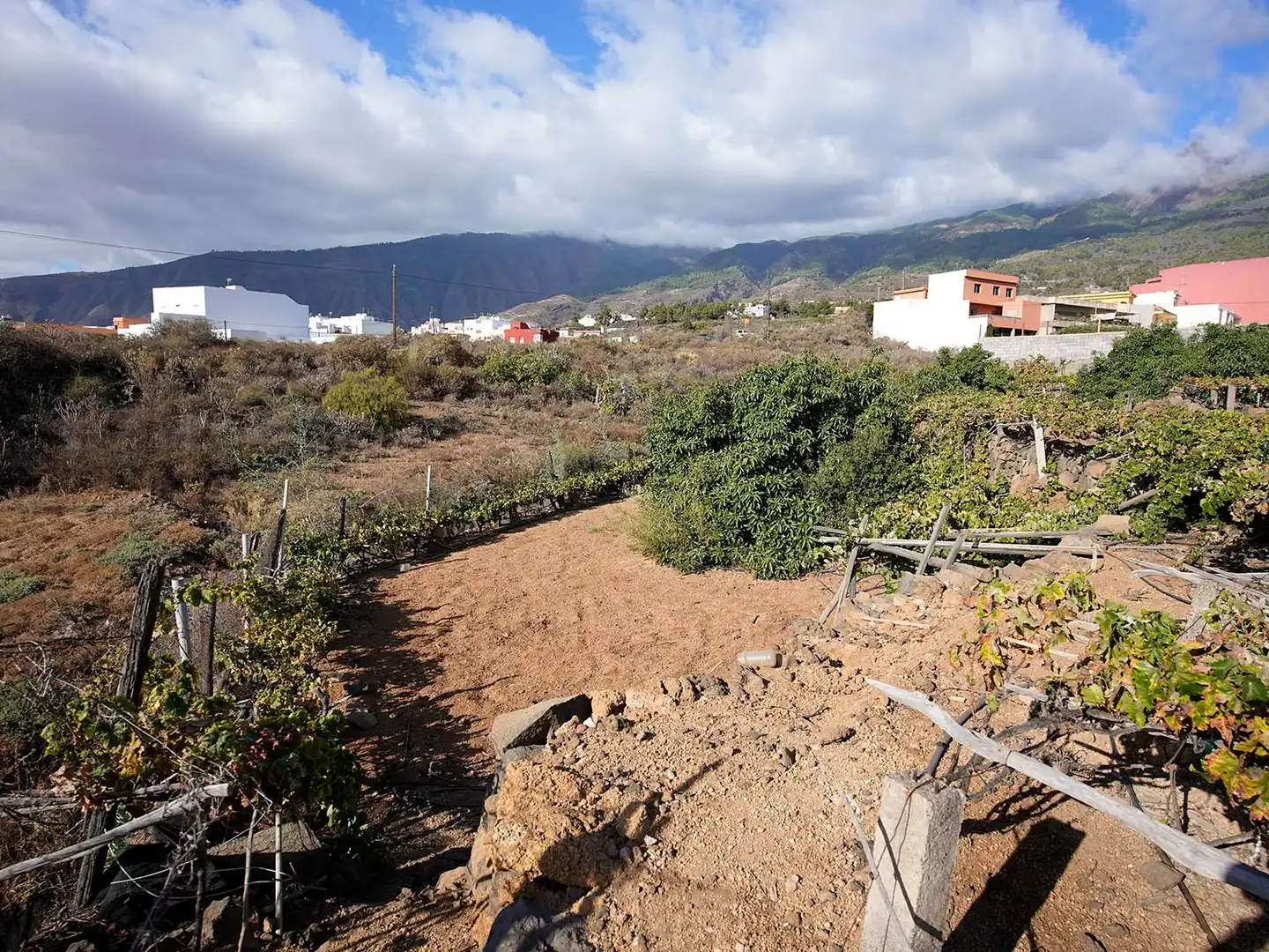 Terreno en venta en Arafo, Santa Cruz de Tenerife