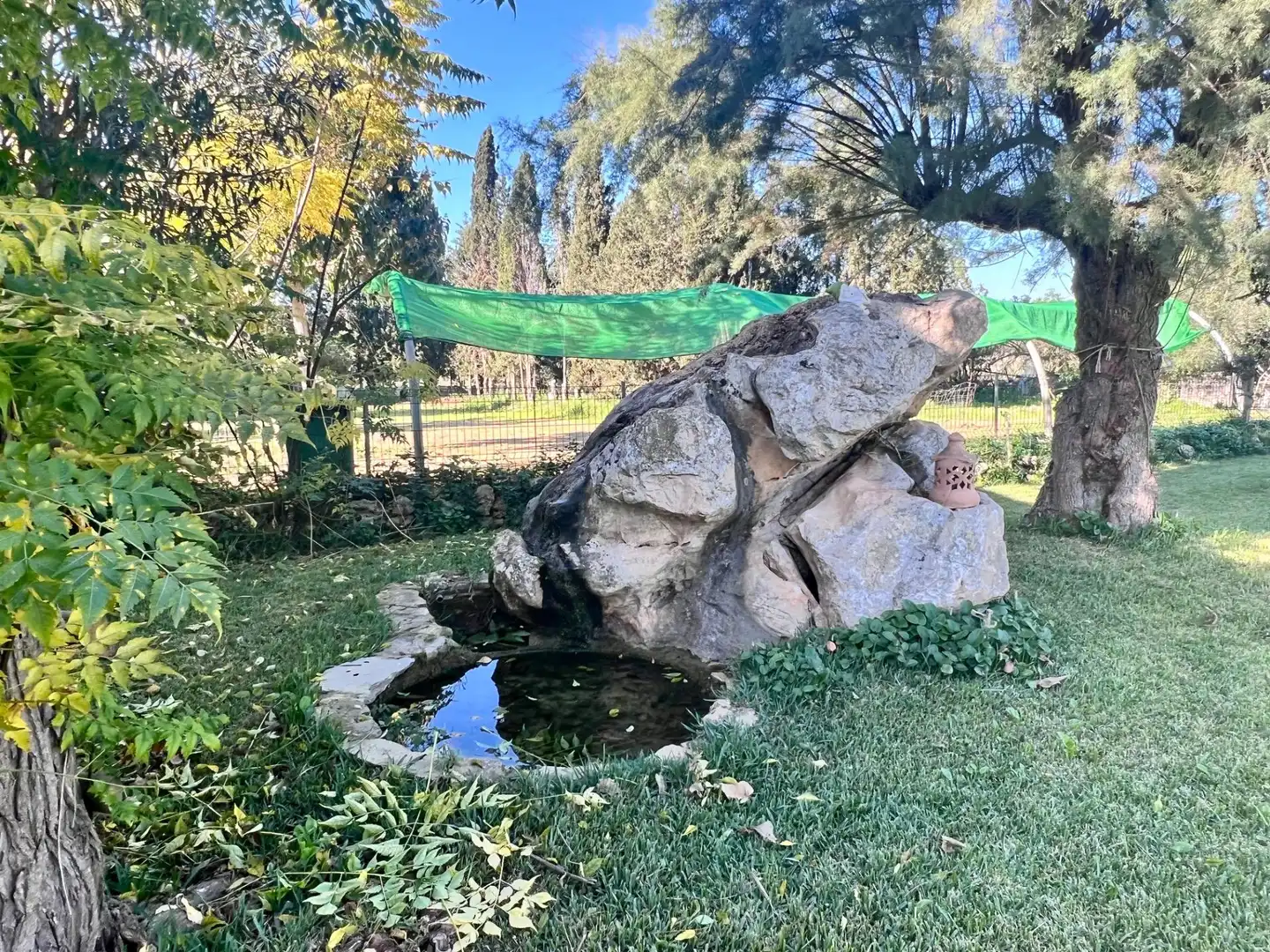 Landhaus mit Pool zum Verkauf in Centro, imagen 6