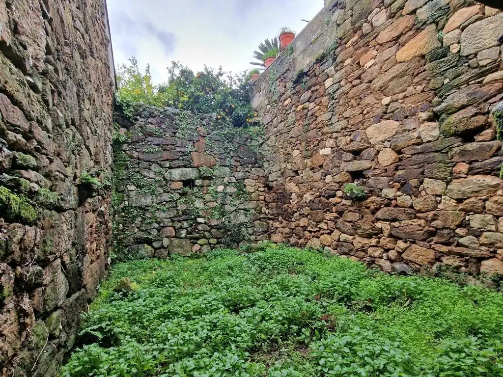 Jardín de Finca rústica en venta en Ribadavia