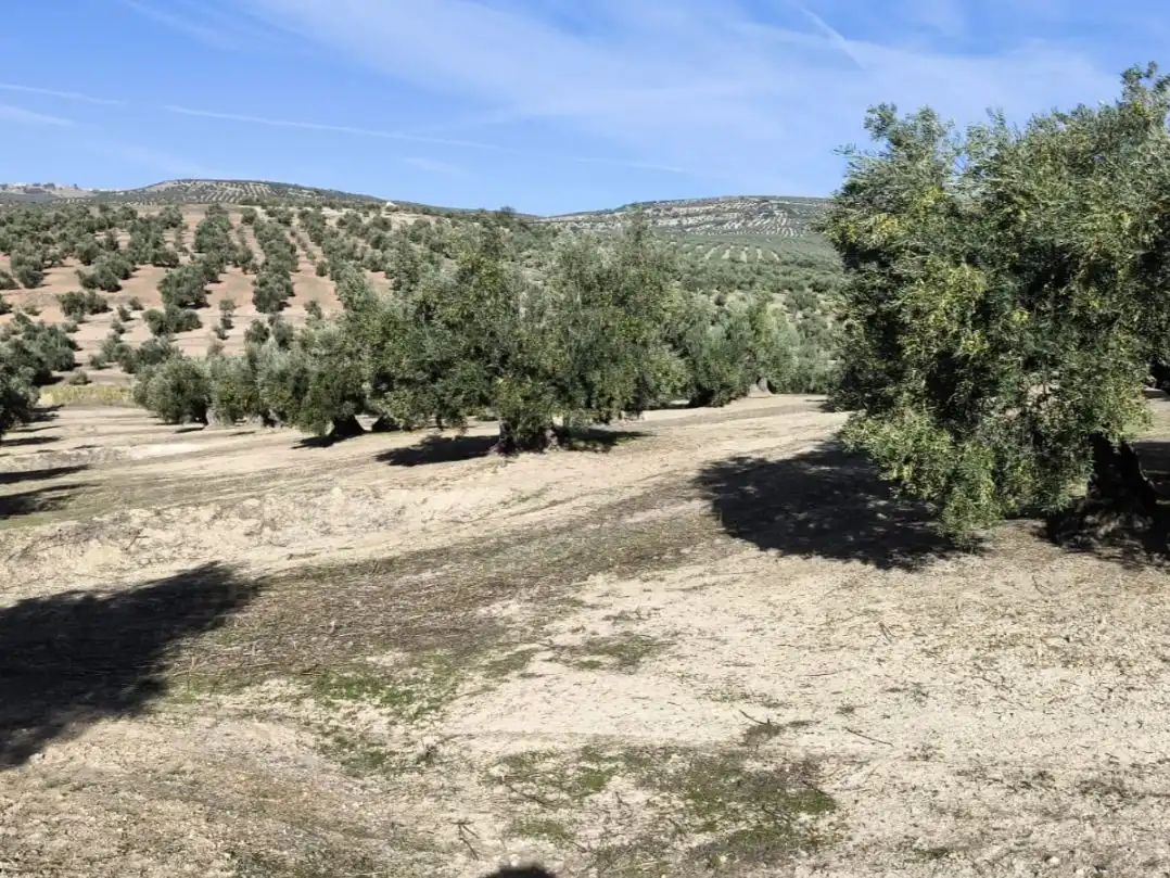 Land for sale in Baeza