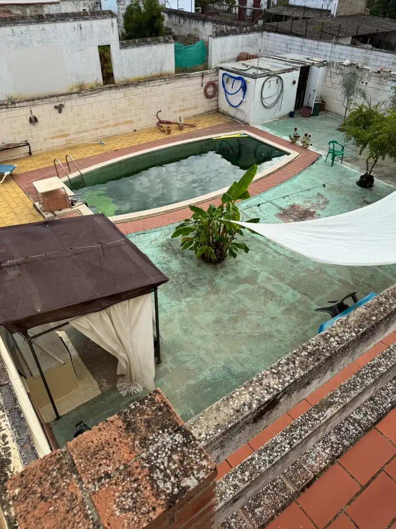Piscina de Casa o xalet en venda en Villanueva del Río y Minas amb Aire condicionat, Jardí privat i Terrassa