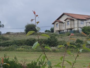 Lands and plots for sale in 505