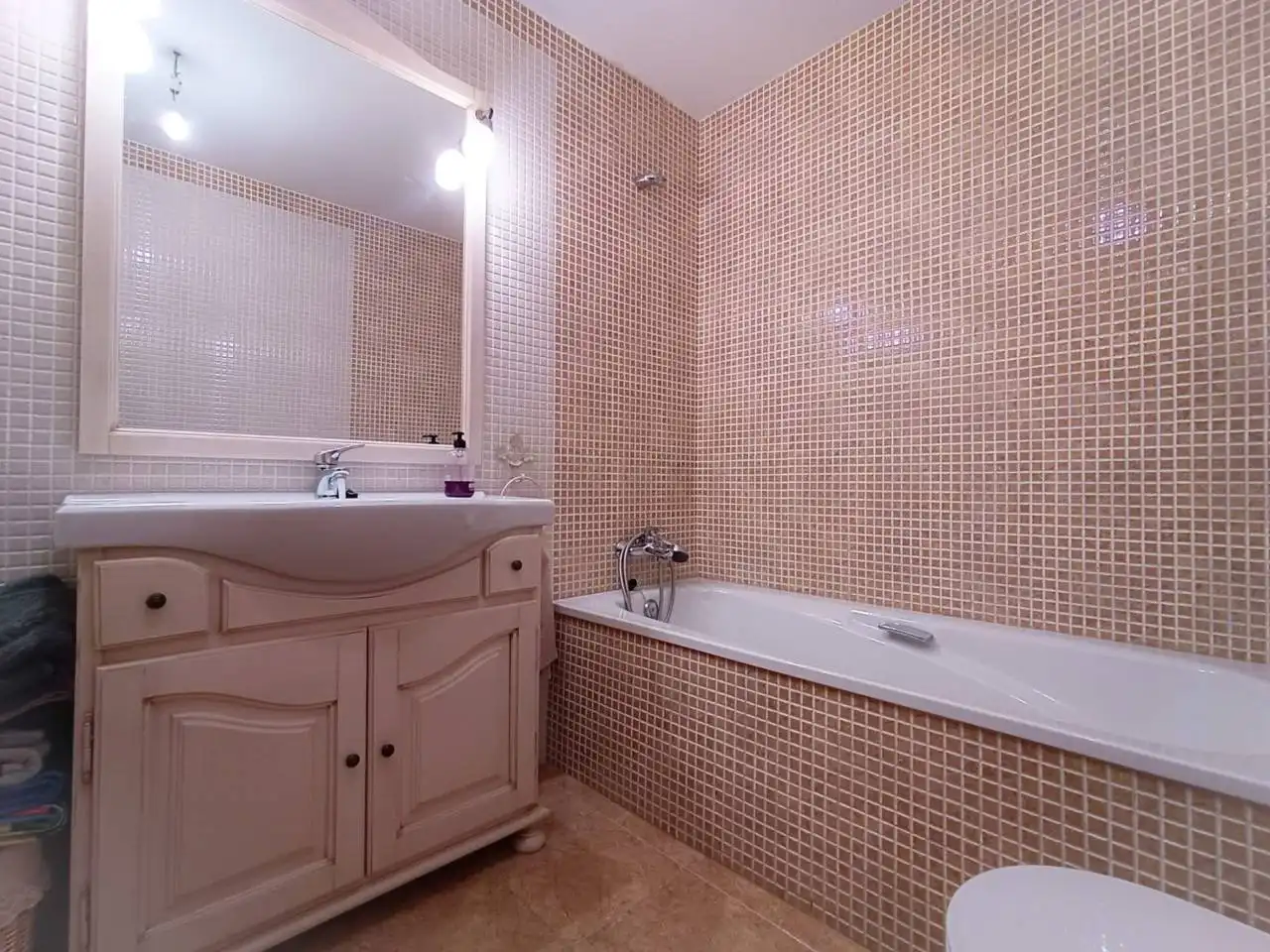 Bany de Casa o xalet en venda en Burgos amb Calefacció, Jardí privat i Parquet