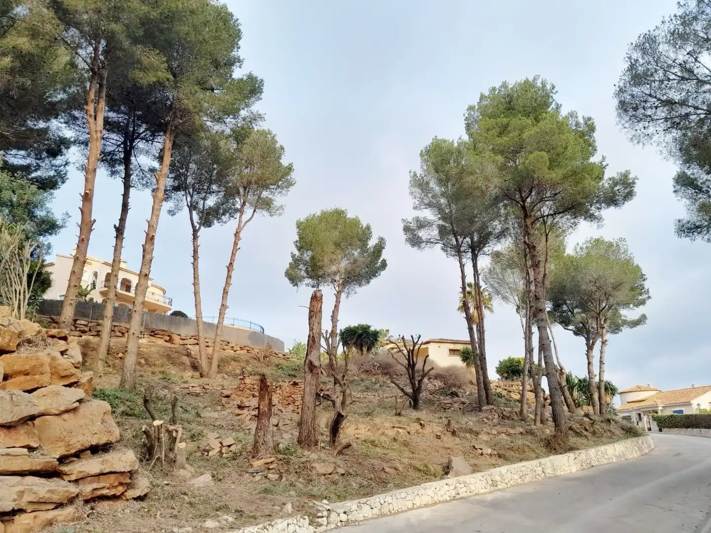 Terrenys i solars en venda a Pedreguer, imagen 7