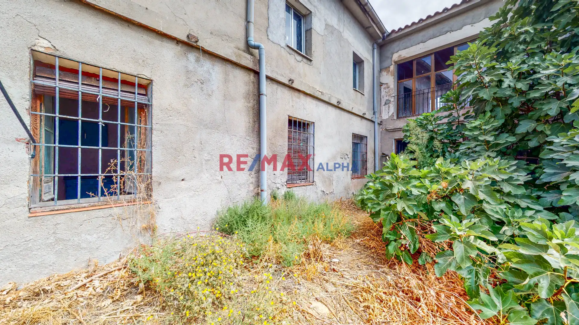 Vista exterior de Finca rústica en venda en Domingo Pérez amb Jardí privat