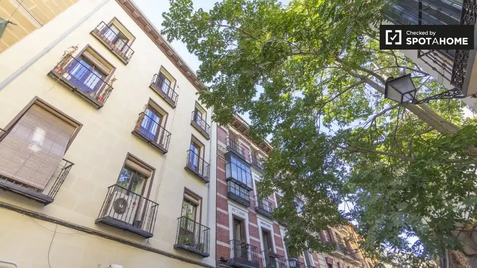 Pis de lloguer a Centro, imagen 17