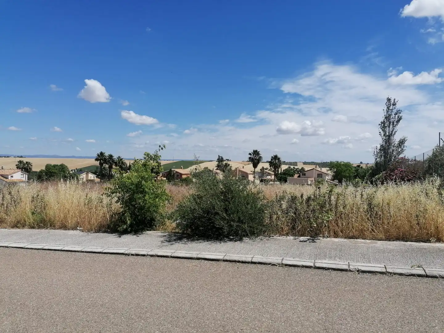 Terreny residencial en venda a La Carlota, imagen 2