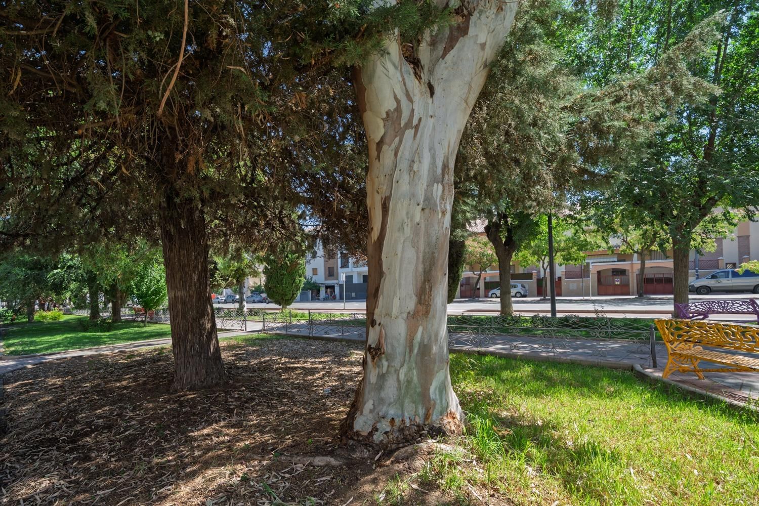 Piso en venta en Las Tres Cruces