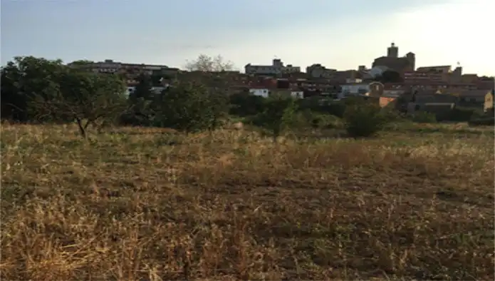 Terreny residencial en venda a El Quinta De La Casa Nova ( Cl Panedes), imagen 16