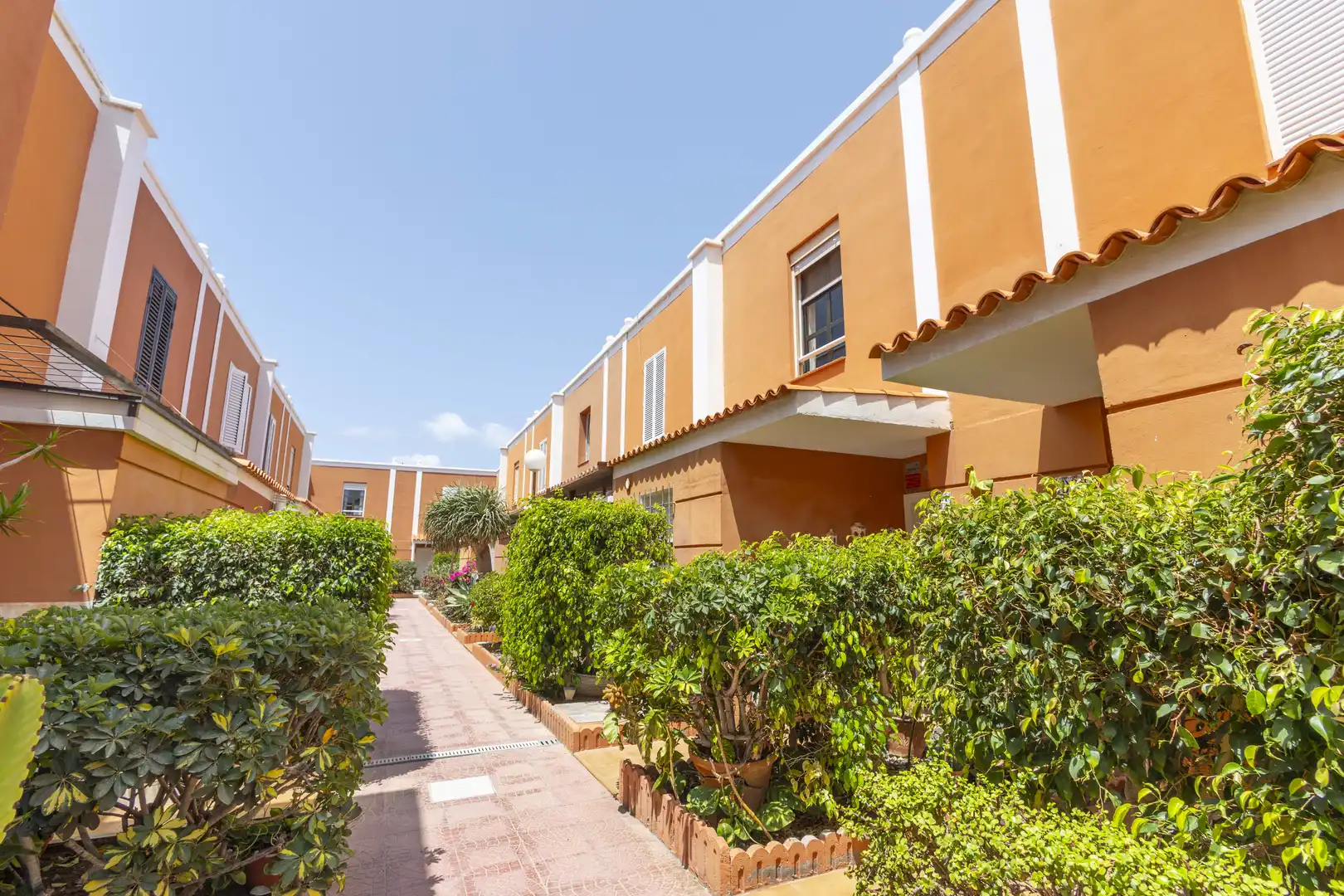 Vista exterior de Casa adosada en venda en Granadilla de Abona amb Aire condicionat, Jardí privat i Terrassa