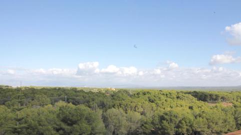 Foto 5 de Pis de lloguer a Doncell, Llucmajor pueblo, Llucmajor