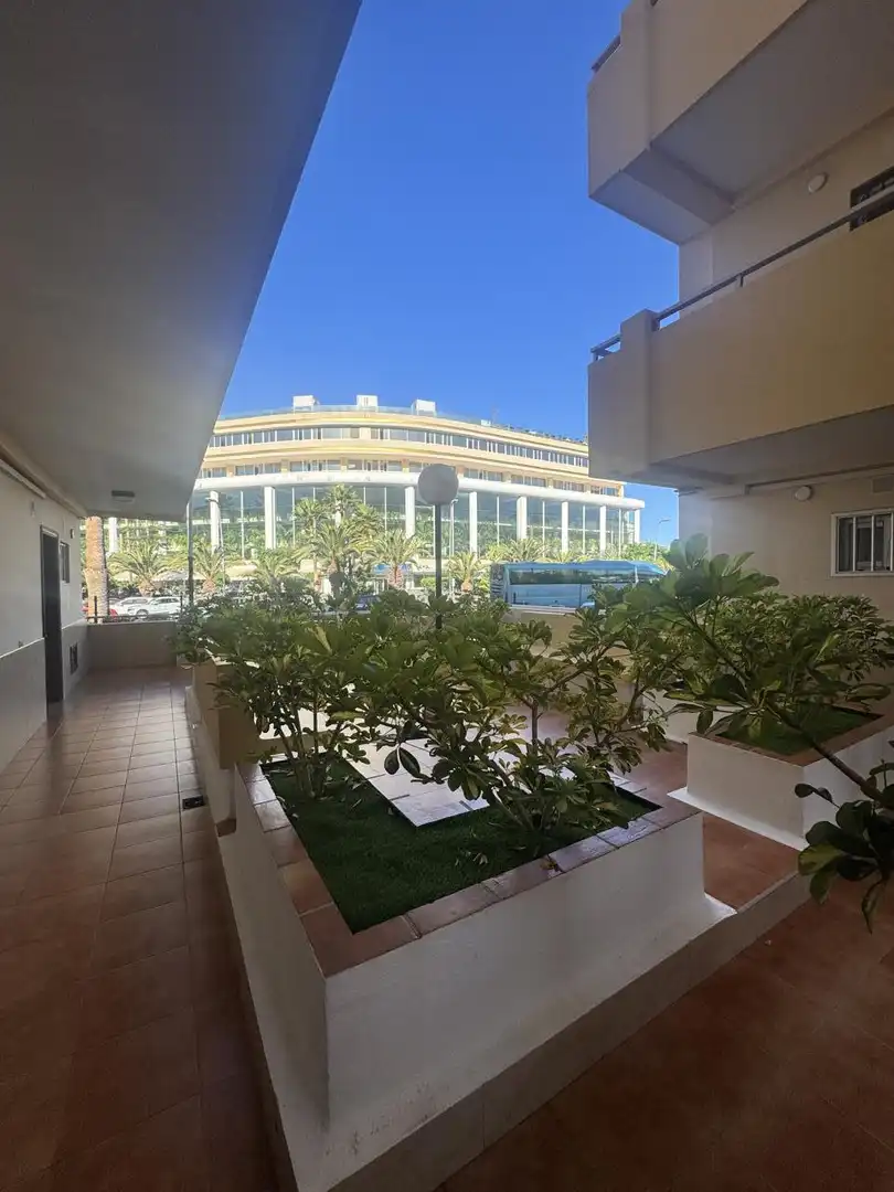 Apartments for rent in Avenida Juan Carlos I, Los Cristianos