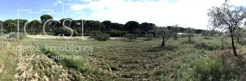 Finca rústica en venda en Almonte amb Terrassa i Moblat