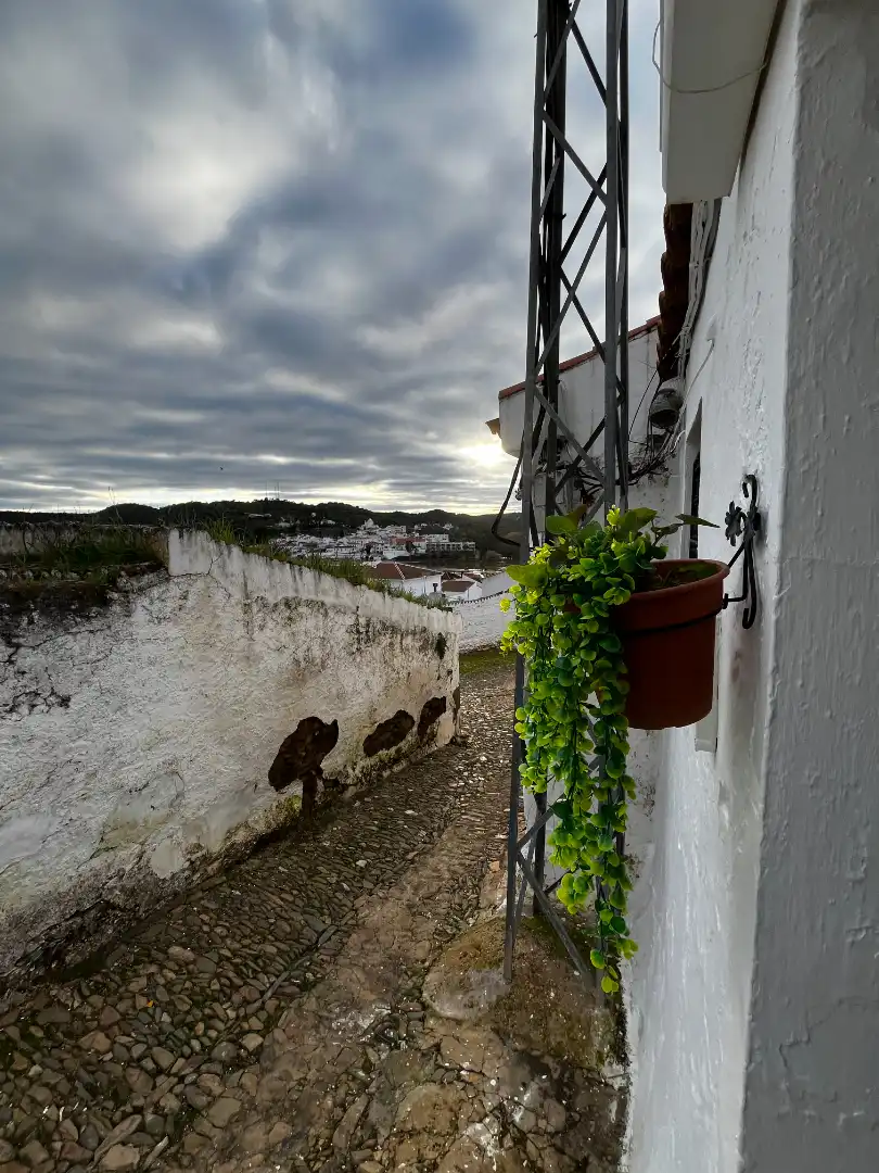 Vista exterior de Casa o xalet en venda en Sanlúcar de Guadiana amb Aire condicionat, Moblat i Forn