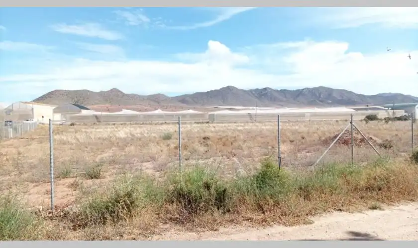 Terreny industrial en venda en Níjar