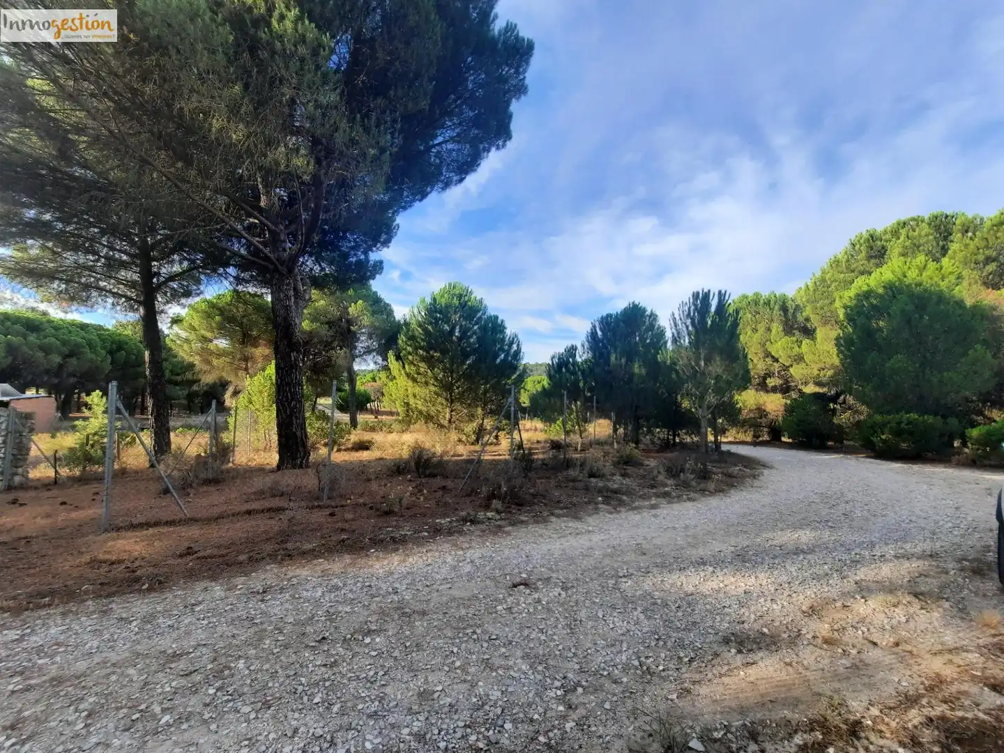 Terreno rustico in vendita a Carretera Tudela de Duero, imagen 4