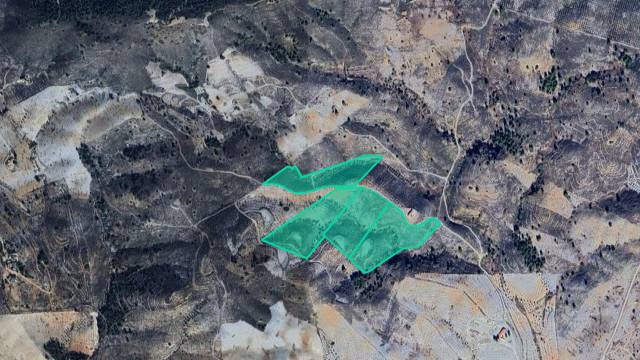 Terreno en Venta en PT Paraje El Remendao  en Zarzalico