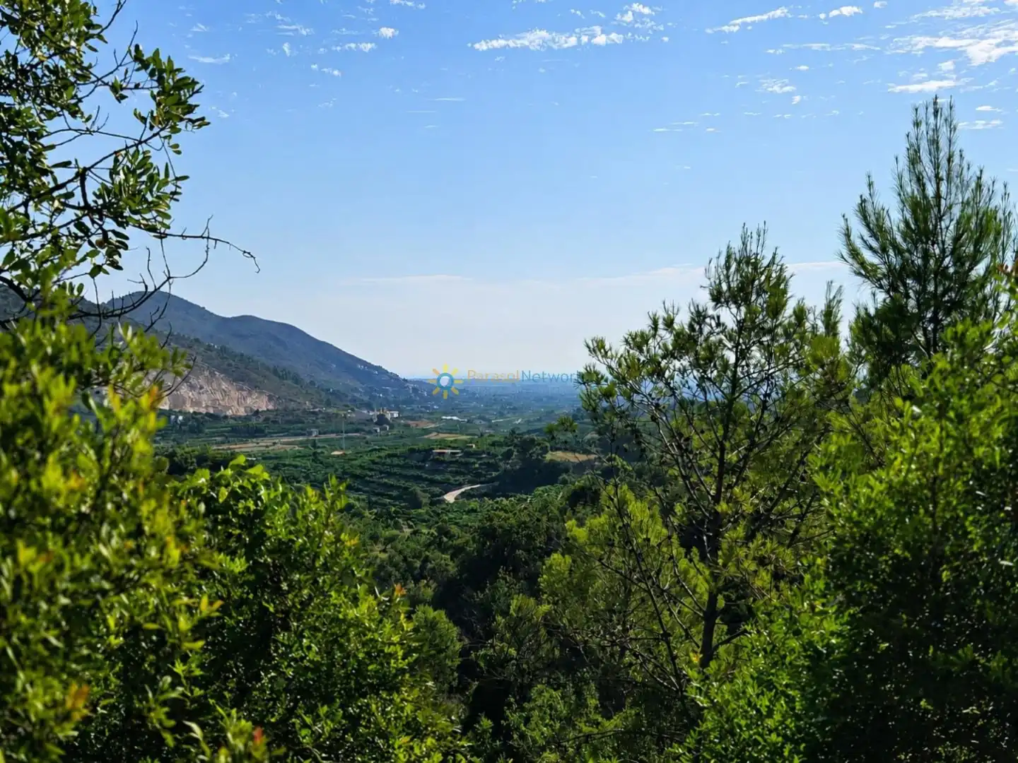 Terreno rustico in vendita a L'Atzúbia, imagen 5