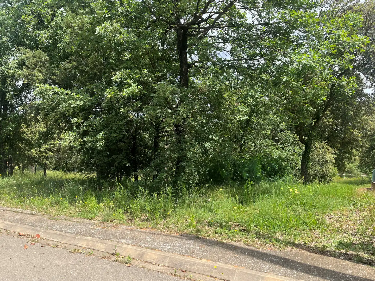 Terrain résidentiel à vendre à Carrer del Alt Camp 5