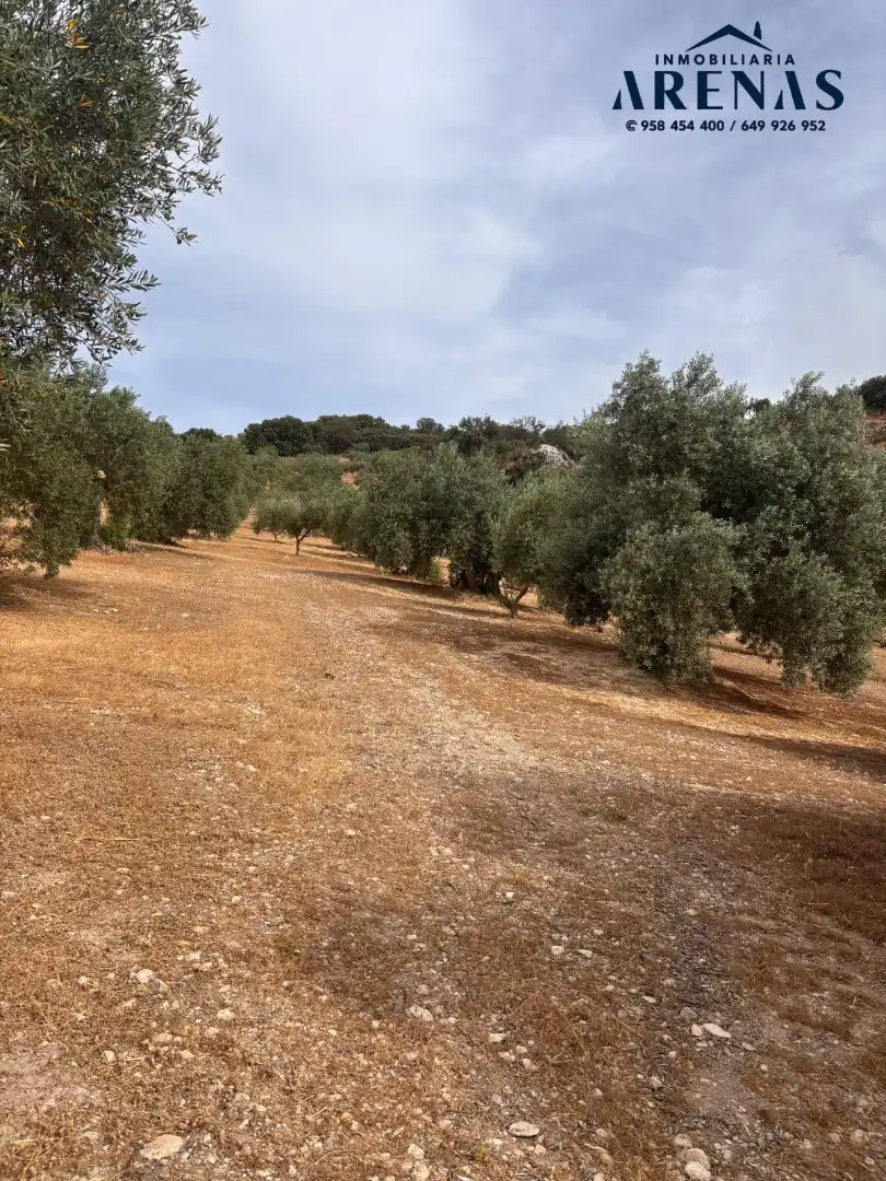 Rustikales Grundstück zum Verkauf in Calle Pozo de Íllora, imagen 9