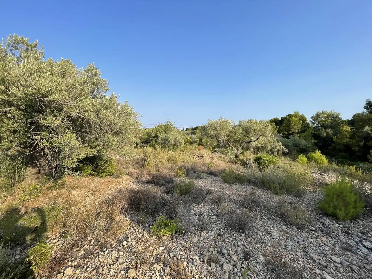 Terreno rustico in vendita a Partida Estany Tort, imagen 12