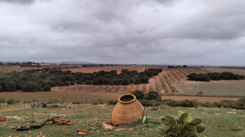 Foto 2 de Finca rústica en venda a N/a, -1, El Bonillo, Albacete