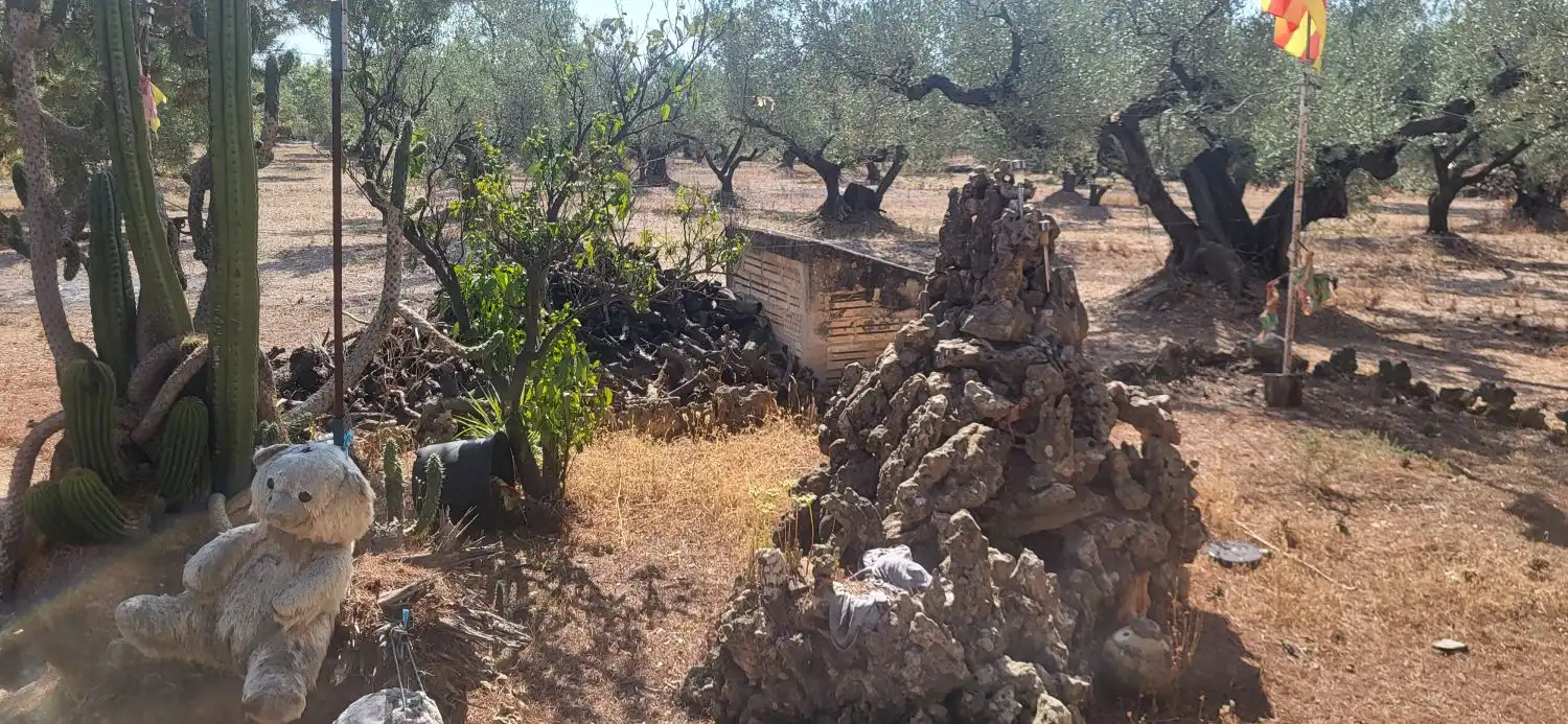 Jardín de Finca rústica en venta en Mas de Barberans