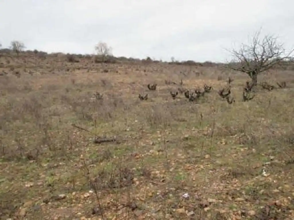 Terreno en venta en Villaverde del Monte, Burgos