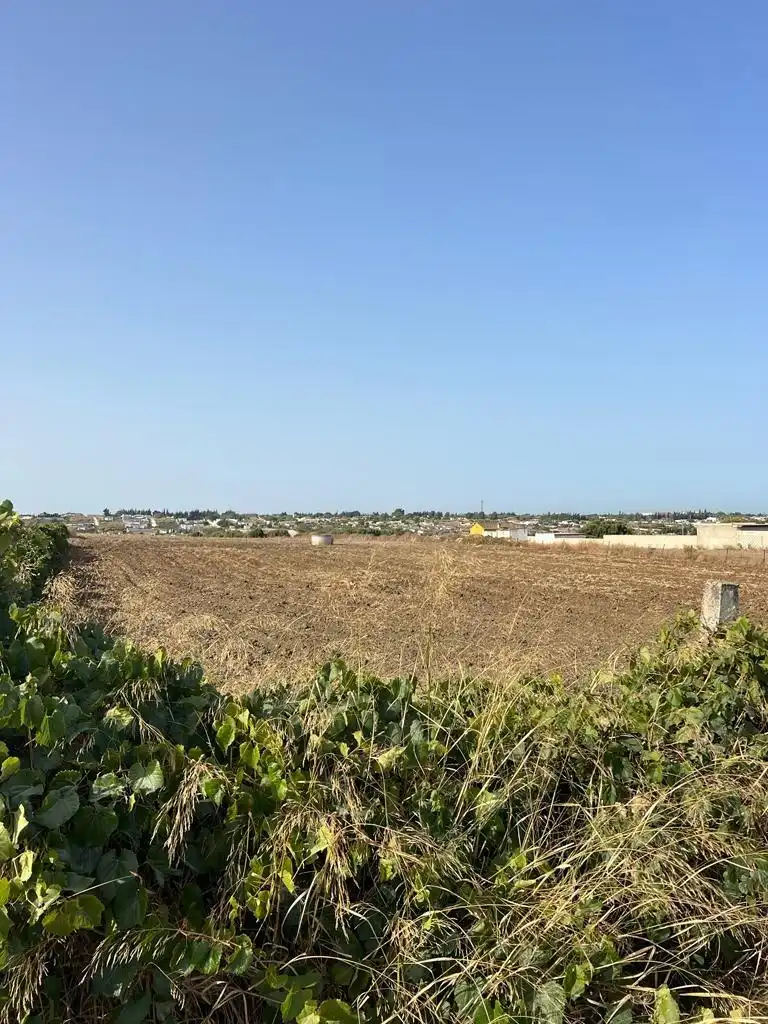 Wohnbaugrundstück zum Verkauf in Los Franceses – La Vega, imagen 7
