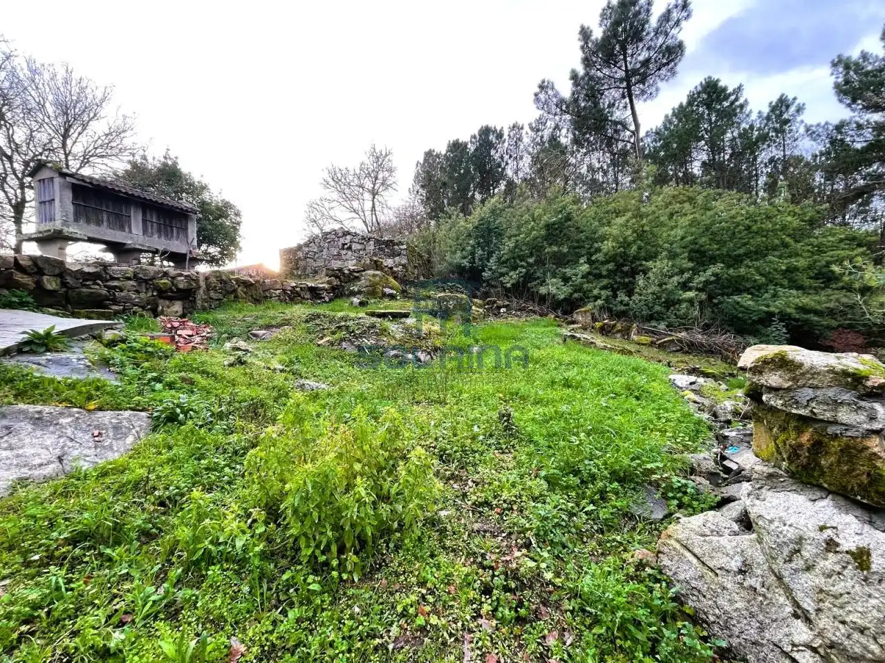 Country homes for sale in Ourense Capital   with Private garden