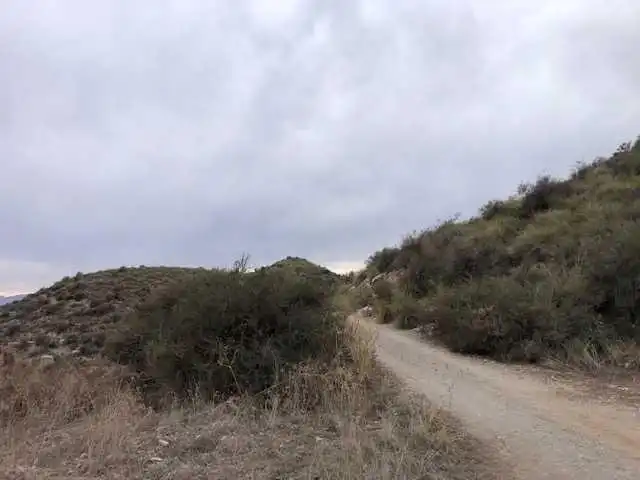 Land for sale in Lorca