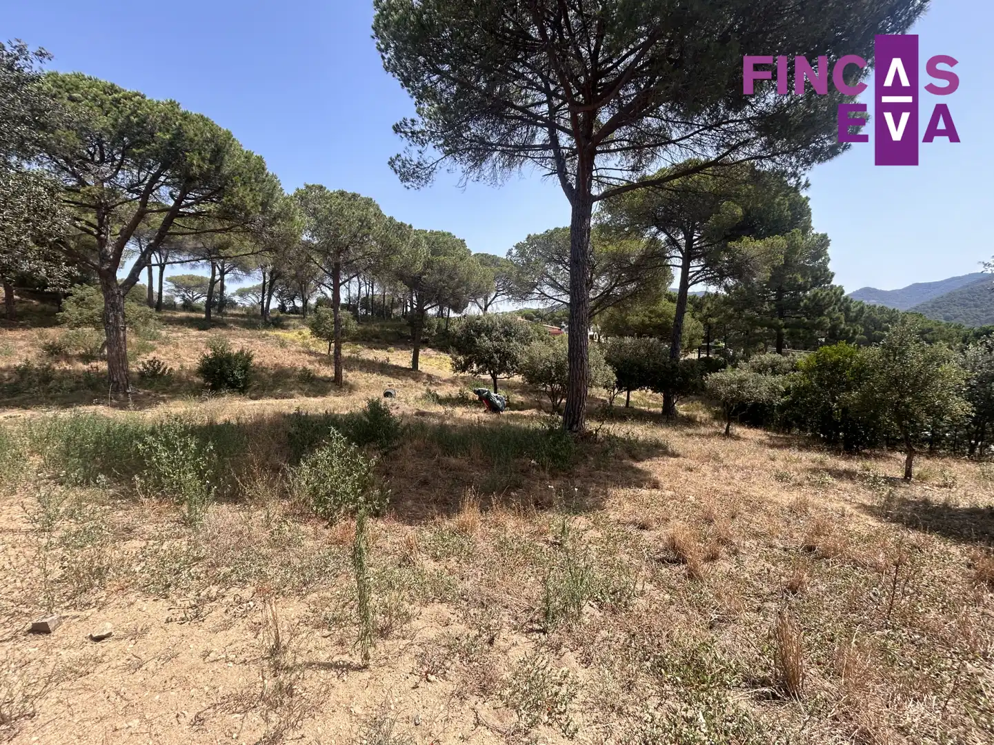 Rural land for sale in Vallromanes - CL SANT ANDREU, imagen 21