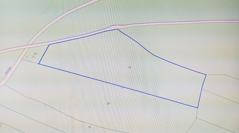 Foto 3 de Terreno en venta en N/a, -1, Sur, Mérida