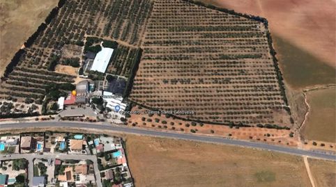 Foto 3 de Finca rústica en venda a A-8026, La Paz, Alcalá de Guadaira