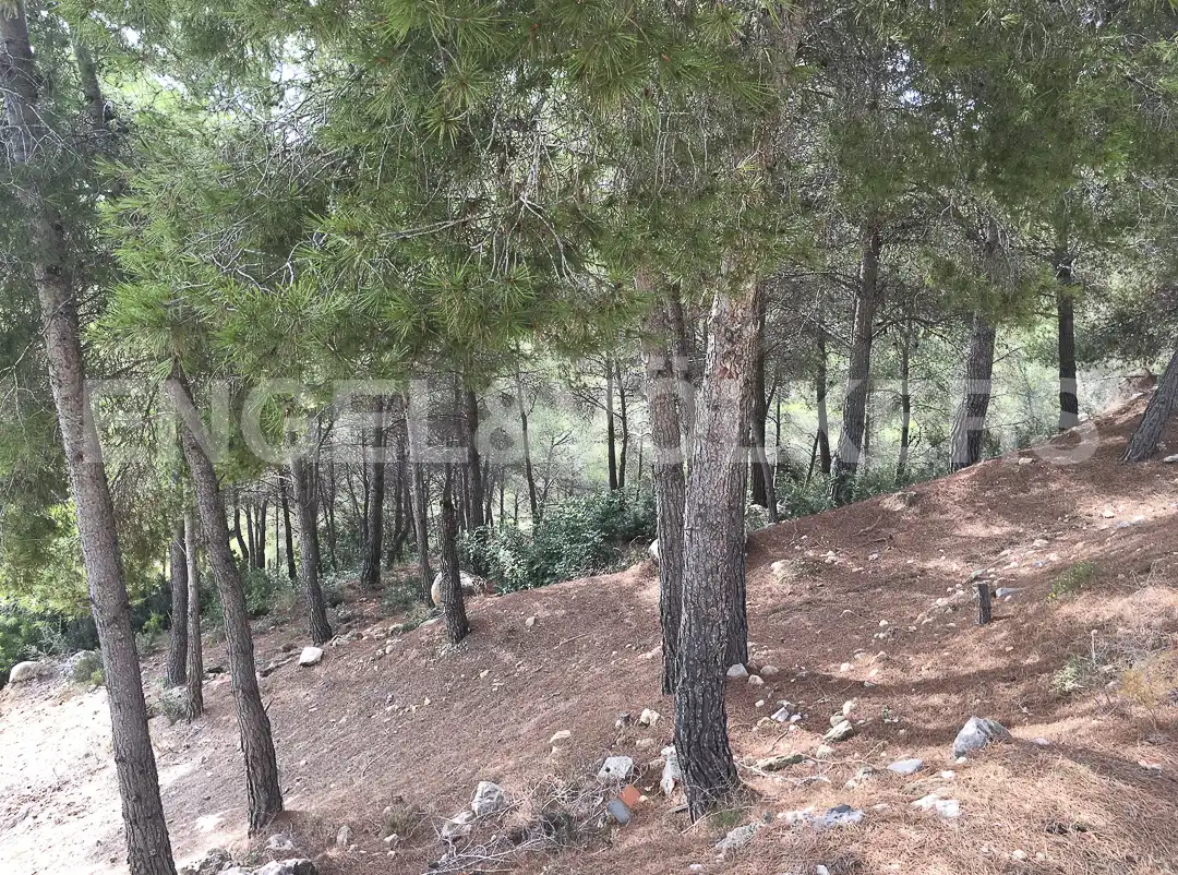 Terreno residenziale in vendita a Costa Cunit - Els Jardins - Els Rosers, imagen 8