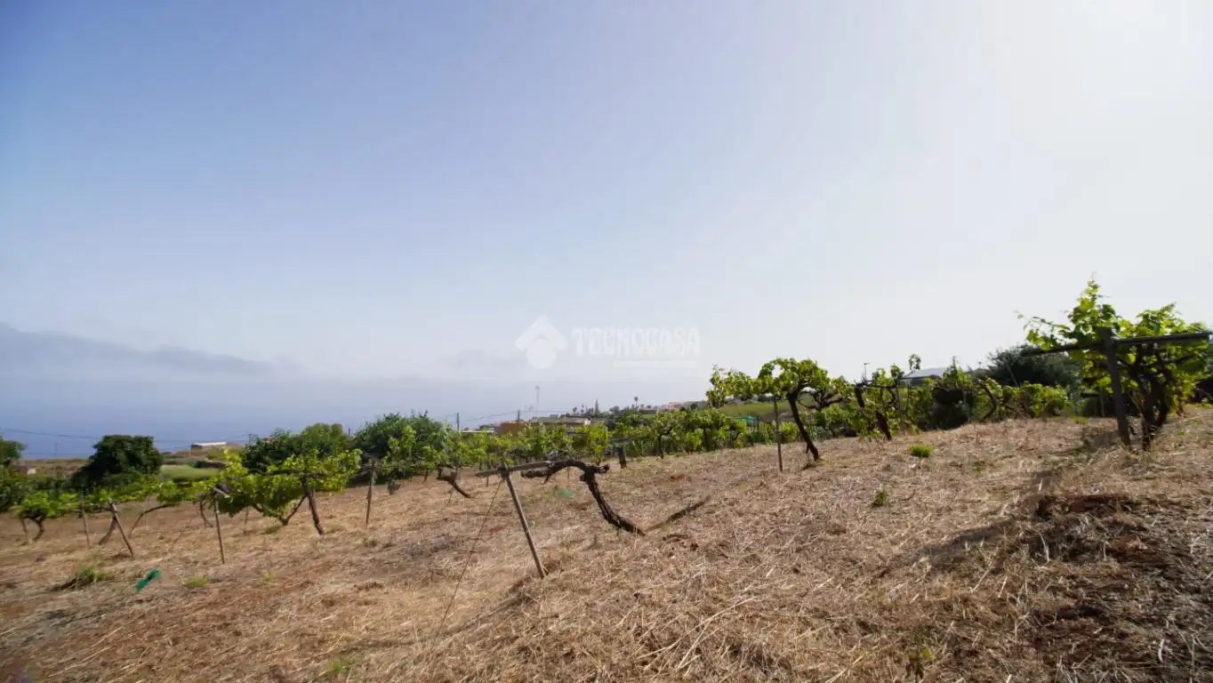 Finca rústica en venta en El Sauzal