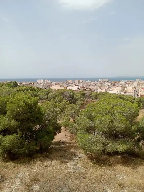 Pis amb terrassa en venda a Santa Pola ciudad, imagen 20
