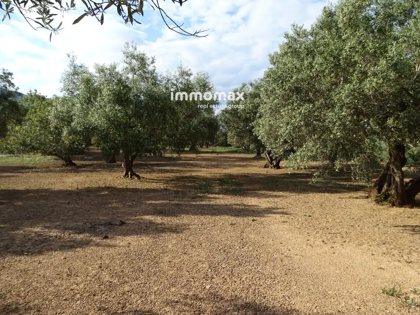 Terrain résidentiel à vendre à 14, imagen 6
