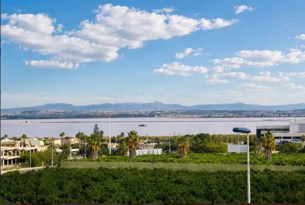 Casa o xalet en venda en Torrevieja amb Aire condicionat, Terrassa i Piscina
