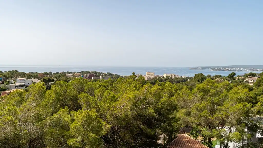 Casa o xalet en venda en Calvià amb Aire condicionat, Calefacció i Jardí privat